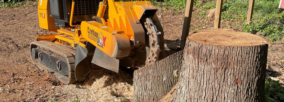 Southern Star Stump Cover Image