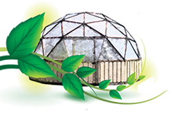60 Foot Dome Greenhouse for Large Scale Growing Projects
